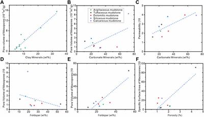 Shale Lithofacies and Its Effect on Reservoir Formation in Lower Permian Alkaline Lacustrine Fengcheng Formation, Junggar Basin, NW China